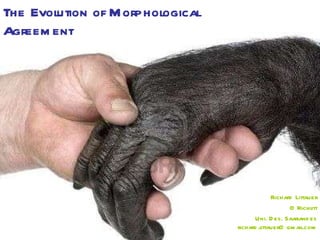 The Evolution of Morphological Agreement Richard Littauer @Richlitt Uni. Des. Saarlandes [email_address] 