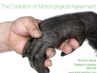 The Evolution of Morphological Agreement




                                 Richard Littauer
                               Saarland University"
                                         @Richlitt
 