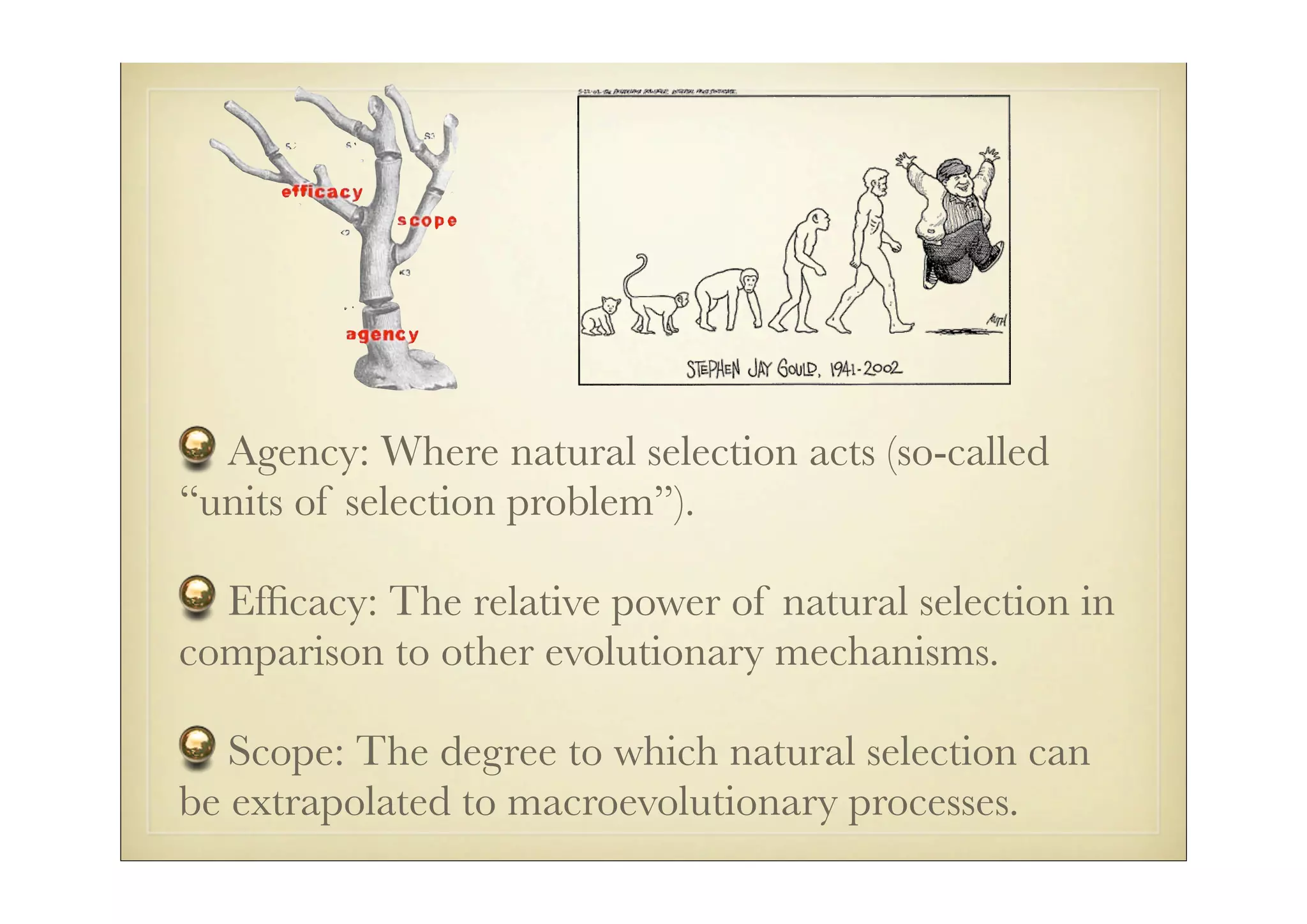 Agency: Where natural selection acts (so-called
“units of selection problem”).

  Efﬁcacy: The relative power of natural selection in
comparison to other evolutionary mechanisms.

   Scope: The degree to which natural selection can
be extrapolated to macroevolutionary processes.
 
