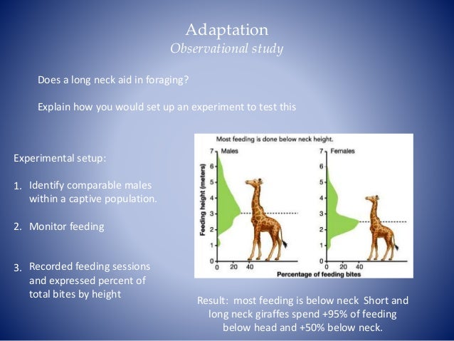 Explain How Competition Can Lead To Natural Selection Explain How Competition Can Lead To Natural Selection