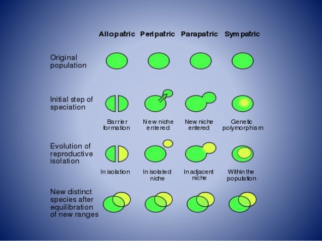 Can Natural Selection Lead To Speciation Can Natural Selection Lead To Speciation