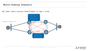 30 Copyright © 2009 Juniper Networks, Inc. www.juniper.net
ESI label (split horizon) advertisement in type 1 route.
PE2
PE1
PE3
PE4
CE2
CE1
MPLS
Multi-homing Scenario
aa:bb:cc:01:01:01
Ethernet A-D
Route (Type 1 Per
ESI) ESI,
Flag=all-actve,
ESI MPLS Label
=L1
Ethernet A-D
Route (Type 1
Per ESI) ESI,
Flag=all-actve,
ESI MPLS Label
=L2
 