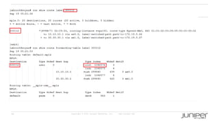 40 Copyright © 2009 Juniper Networks, Inc. www.juniper.net
 