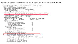 Non DF CE facing interface will be in blocking state in single active
 