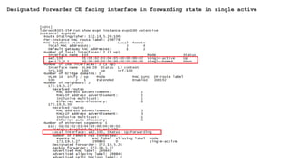 Designated Forwarder CE facing interface in forwarding state in single active
 