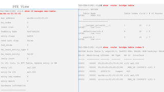 TAZ-TBB-0(PE1 vty)# show route bridge table
Protocol: BRIDGE
Table Name Table Index (lrid ) # of Routes
LOCAL FRRP TID
------------------------------------------------------------------
------------------------
__juniper_private1__.1 1 (0 ) 2
LOCAL low ----
default-switch.4 4 (0 ) 0
LOCAL low ----
evpn100.5 5 (0 ) 7
LOCAL low ----
TAZ-TBB-0(PE1 vty)# show route bridge table index 5
BRIDGE Route Table 5, evpn100.5, 0x4000 FRR: FALSE: BUM hashing: FALSE
BD-ID Mesh-Group L2Token NH Type NH ID Interface
----- ---------- ------- ------- ------ ---------
00002 00000 00:05:85:f5:70:01/80 rifl ae2.100
00002 00000 00:05:85:f6:4f:f2/80 RNH_LE 15695872 rifl 0
00002 00000 30003/51 Compst 622
00002 00000 aa:bb:cc:01:01:01/80 rifl ae2.100
00002 00000 cc:cc:cc:01:01:01/80 RNH_LE 15695872 rifl 0
TAZ-TBB-0(PE1 vty)# show l2 manager mac-table
aa:bb:cc:01:01:01
mac address aa:bb:cc:01:01:01
bd_index 2
learn vlan 0
FwdEntry Addr 0x47580292
entry flags 0x814
need sync flag False
fwd_nhidx 0
hw_learn_entity_type 0
hw_learn_entity 0x14f
retry count 0
In ifl list, In RTT Table, Update entry in HW
entry ifl ae2.100
entry hw ifl ae2.100
entry seq number 4
entry epoch 0
hardware information
--------------------
PFE View
 