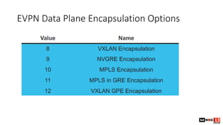 EVPN Data Plane Encapsulation Options
 