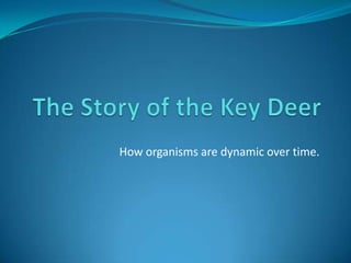The Story of the Key Deer   How organisms are dynamic over time. 
