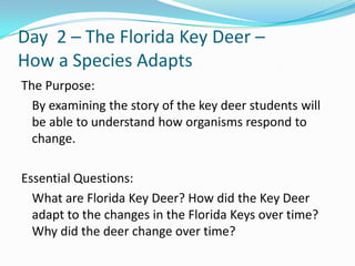 Day  2 – The Florida Key Deer – How a Species Adapts,[object Object],The Purpose:,[object Object],	By examining the story of the key deer students will be able to understand how organisms respond to change. ,[object Object],Essential Questions:,[object Object],	What are Florida Key Deer? How did the Key Deer adapt to the changes in the Florida Keys over time? Why did the deer change over time? ,[object Object]