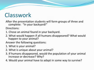 Classwork,[object Object],After the presentation students will form groups of three and complete:  “In your backyard!”,[object Object],Directions:,[object Object],1. Chose an animal found in your backyard.,[object Object],2. What would happen if all humans disappeared? What would happen to your animal?,[object Object],Answer the following questions:,[object Object],1. What is your animal?,[object Object],2. What is unique about your animal?,[object Object],3. If humans disappeared, would the population of your animal increase or decrease? Why?,[object Object],4. Would your animal have to adapt in some way to survive?,[object Object]