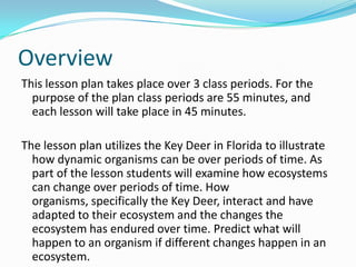 Overview,[object Object],This lesson plan takes place over 3 class periods. For the purpose of the plan class periods are 55 minutes, and each lesson will take place in 45 minutes.,[object Object],The lesson plan utilizes the Key Deer in Florida to illustrate how dynamic organisms can be over periods of time. As part of the lesson students will examine how ecosystems can change over periods of time. How organisms, specifically the Key Deer, interact and have adapted to their ecosystem and the changes the ecosystem has endured over time. Predict what will happen to an organism if different changes happen in an ecosystem. ,[object Object]