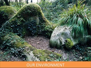 OUR ENVIRONMENT 