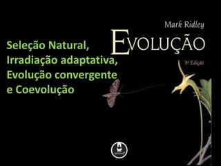 Seleção Natural,
Irradiação adaptativa,
Evolução convergente
e Coevolução
 