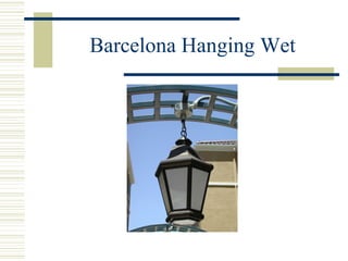 Barcelona Hanging Wet 