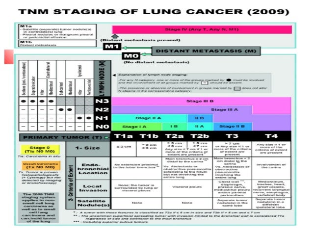 TNM staging in lung cancer dr.berna kömürcüoğlu