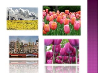 Evropa perendimore. Gjeografia