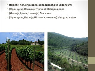 Evropski makroregion | PPT