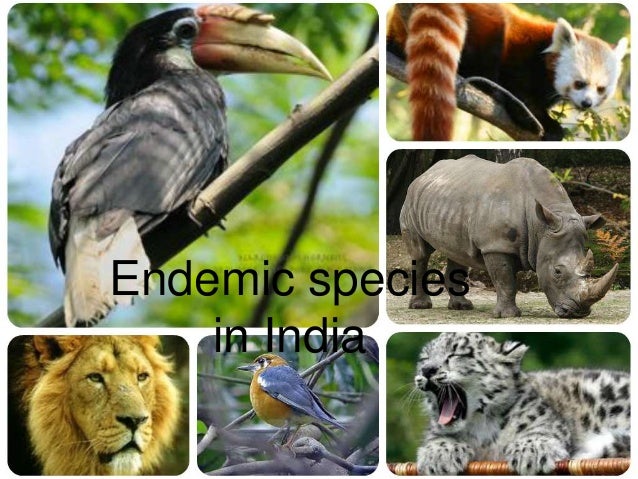 Endangered, critically endangered, endemic, vulnerable species