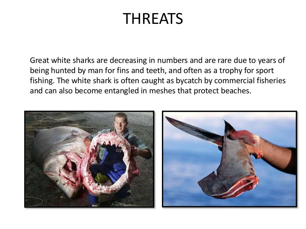 Endangered, critically endangered, endemic, vulnerable species