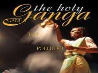 GANGA
THE
POLLUTED
PURIFIER
 