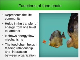 Functions of food chain 
● Represents the life 
community 
● Helps in the transfer of 
energy from one level 
to another 
● It shows energy flow 
mechanisms 
● The food chain helps in 
feeding relationship 
and interaction 
between organization. 
 