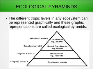 ECOLOGICAL PYRAMINDS 
● The different tropic levels in any ecosystem can 
be represented graphically and these graphic 
representations are called ecological pyramids. 
 