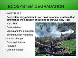 ECOSYSTEM DEGRADATION 
● WHAT IT IS ? 
● Ecosystem degradation it is an environmental problem that 
diminishes the capacity of species to survive like, Tiger 
CAUSES 
● Deforestation 
● Mining and the extraction 
of construction materials 
● Habitat change 
● Over exploitation 
● Pollution 
● Climate change 
 