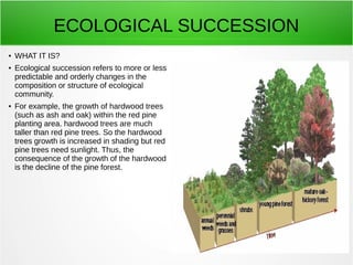 ECOLOGICAL SUCCESSION 
● WHAT IT IS? 
● Ecological succession refers to more or less 
predictable and orderly changes in the 
composition or structure of ecological 
community. 
● For example, the growth of hardwood trees 
(such as ash and oak) within the red pine 
planting area. hardwood trees are much 
taller than red pine trees. So the hardwood 
trees growth is increased in shading but red 
pine trees need sunlight. Thus, the 
consequence of the growth of the hardwood 
is the decline of the pine forest. 
 