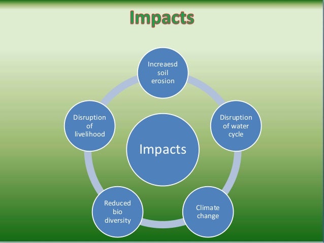 the causes and impact of deforestation in brazil Deforestation is the clearing out of forests and tree plantations in order to promote agricultural, industrial, or urban use this involves permanent forest depletion to. the causes and impact of deforestation in brazil Deforestation is the clearing out of forests and tree plantations in order to promote agricultural, industrial, or urban use this involves permanent forest depletion to.
