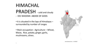 HIMACHAL
PRADESH - cold and cloudy
- DEV BHOOMI- ABODE OF GODS
• It is situated in the laps of Himalayas –
surrounded by number of ranges
• Main occupation : Agriculture – Wheat,
Maize, Rice, potato, ginger, garlic,
mushrooms, olives.
`
 
