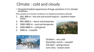 Climate : cold and cloudy
• Himachal Pradesh experiences of huge variations in it’s climatic
conditions
(The variations of climatic conditions are divided according to altitude)
1. 450- 900 m – hot and sub humid tropical – southern lower
traces
2. 900-1800 m – warm and temperate
3. 1900-2400 m – cool and temperate
4. 2400-4800 m – cold glacial
5. 3000 m – snowfall
Octobers - very cold
December-march – snowfall
Feb-April - spring season
June rainy - season starts
 