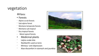 vegetation
Flora:
• Forests
⁻ Alpine scrub forests
⁻ Sub alpine forest
⁻ Montane temperate forests
⁻ Montane sub tropical
⁻ Dry tropical forests
- Moist typical forests
• Medicinal plants
⁻ Latjira-snake bite
⁻ Neelkanthi-used as tonic
⁻ Mimosa –anti-depression
⁻ Aloe-discomfort in stomach and jaundice
 
