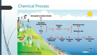 Chemical Process
 