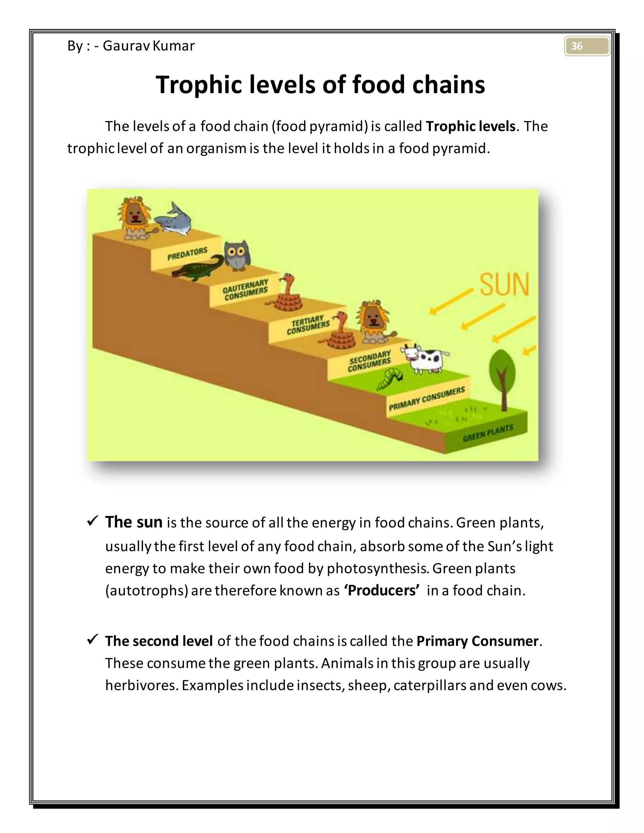 36By : - GauravKumar
Trophic levels of food chains
The levels of a food chain (food pyramid)is called Trophic levels. The
trophiclevel of an organism is the level it holds in a food pyramid.
 The sun is the source of all the energy in food chains.Green plants,
usuallythe first level of any food chain, absorb some of the Sun’s light
energy to make their own food by photosynthesis.Green plants
(autotrophs)are therefore known as ‘Producers’ in a food chain.
 The second level of the food chains is called the Primary Consumer.
These consume the green plants.Animals in this group are usually
herbivores.Examples include insects,sheep,caterpillars and even cows.
 