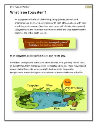 environment project topics for 11th std