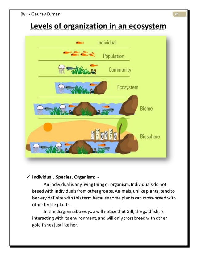 project on Ecosystem(EVS)