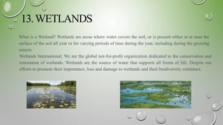 13.WETLANDS
What is a Wetland? Wetlands are areas where water covers the soil, or is present either at or near the
surface of the soil all year or for varying periods of time during the year, including during the growing
season.
Wetlands International. We are the global not-for-proﬁt organization dedicated to the conservation and
restoration of wetlands. Wetlands are the source of water that supports all forms of life. Despite our
efforts to promote their importance, loss and damage to wetlands and their biodiversity continues.
 