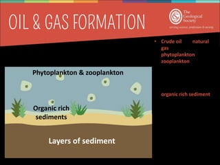 Phytoplankton & zooplankton
Layers of sediment
• Crude oil and natural
gas are formed from
phytoplankton and
zooplankton
• Microorganisms sink
to the bottom of the
ocean when they die
forming layers of
organic rich sediment
• High primary
production, stagnant,
stratified water
column, lack of sea
floor decomposers,
low oxygen (anoxic) =
good conditions for
forming oil and gas
source rocks
Organic rich
sediments
 