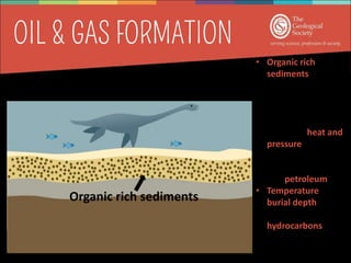 Organic rich sediments
• Organic rich
sediments are
buried by layers
and layers of
sediment
• Increased and
sustained heat and
pressure ‘cooks’
the organic matter
in the source rock
into petroleum
• Temperature and
burial depth
determine which
hydrocarbons are
produced
 