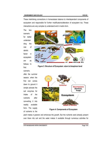 ENVIRONMENT AND
UTTARAKHAND OPEN UNIVERSITY
These interlinking connections in homeostasis balance to interdependent components of
ecosystem and responsible for further modifications/alteration of ecosystem too.
interactions are very complex to understand and in matrix form.
The two
scenario
for better
understan
ding the
role of
abiotic
factor in
ecosystem
are as
follows: In
first
scenario,
after the summer
season, when the
first rain comes
down to ground it
simple activate the
soil enzymes for
intake of the
nutrients after
converting it into
readily available
form. The supply
of nutrients to the
plant makes it greener and enhances the growth. But the nutrients were already present
over there into soil and the water makes it available through numerous activities for
AND ECOLOGY
UTTARAKHAND OPEN UNIVERSITY
These interlinking connections in homeostasis balance to interdependent components of
ecosystem and responsible for further modifications/alteration of ecosystem too.
interactions are very complex to understand and in matrix form.
after the summer
season, when the
first rain comes
down to ground it
simple activate the
soil enzymes for
intake of the
nutrients after
converting it into
dily available
form. The supply
of nutrients to the
plant makes it greener and enhances the growth. But the nutrients were already present
over there into soil and the water makes it available through numerous activities for
Figure 3: Structure of Ecosystem: atom to biosphere level
Figure 4: Components of Ecosystem
EVS 501
Page 192
These interlinking connections in homeostasis balance to interdependent components of
ecosystem and responsible for further modifications/alteration of ecosystem too. These
plant makes it greener and enhances the growth. But the nutrients were already present
over there into soil and the water makes it available through numerous activities for
3: Structure of Ecosystem: atom to biosphere level
4: Components of Ecosystem
 