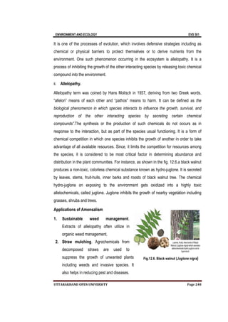 ENVIRONMENT AND ECOLOGY EVS 501
UTTARAKHAND OPEN UNIVERSITY Page 248
It is one of the processes of evolution, which involves defensive strategies including as
chemical or physical barriers to protect themselves or to derive nutrients from the
environment. One such phenomenon occurring in the ecosystem is allelopathy. It is a
process of inhibiting the growth of the other interacting species by releasing toxic chemical
compound into the environment.
ii. Allelopathy.
Allelopathy term was coined by Hans Molisch in 1937, deriving from two Greek words,
“allelon” means of each other and “pathos” means to harm. It can be defined as the
biological phenomenon in which species interacts to influence the growth, survival, and
reproduction of the other interacting species by secreting certain chemical
compounds”.The synthesis or the production of such chemicals do not occurs as in
response to the interaction, but as part of the species usual functioning. It is a form of
chemical competition in which one species inhibits the growth of another in order to take
advantage of all available resources. Since, it limits the competition for resources among
the species, it is considered to be most critical factor in determining abundance and
distribution in the plant communities. For instance, as shown in the fig. 12.6.a black walnut
produces a non-toxic, colorless chemical substance known as hydro-juglone. It is secreted
by leaves, stems, fruit-hulls, inner barks and roosts of black walnut tree. The chemical
hydro-juglone on exposing to the environment gets oxidized into a highly toxic
allelochemicals, called juglone. Juglone inhibits the growth of nearby vegetation including
grasses, shrubs and trees.
Applications of Amensalism
1. Sustainable weed management.
Extracts of allelopathy often utilize in
organic weed management.
2. Straw mulching. Agrochemicals from
decomposed straws are used to
suppress the growth of unwanted plants
including weeds and invasive species. It
also helps in reducing pest and diseases.
Fig.12.6. Black walnut (Juglone nigra)
 