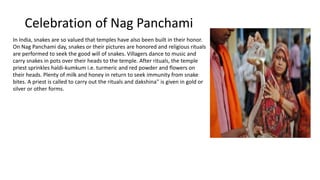 Celebration of Nag Panchami
In India, snakes are so valued that temples have also been built in their honor.
On Nag Panchami day, snakes or their pictures are honored and religious rituals
are performed to seek the good will of snakes. Villagers dance to music and
carry snakes in pots over their heads to the temple. After rituals, the temple
priest sprinkles haldi-kumkum i.e. turmeric and red powder and flowers on
their heads. Plenty of milk and honey in return to seek immunity from snake
bites. A priest is called to carry out the rituals and dakshina'' is given in gold or
silver or other forms.
 