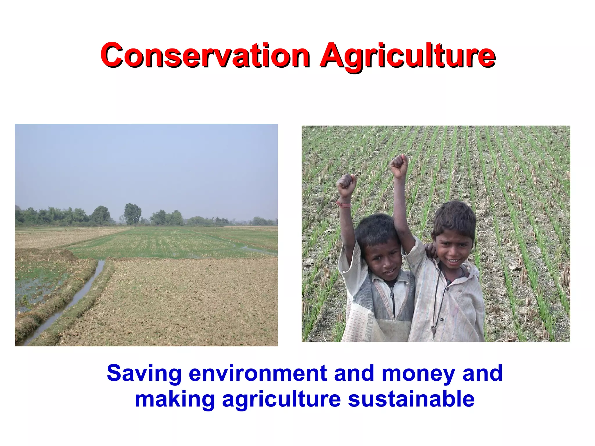 Conservation Agriculture Saving environment and money and making agriculture sustainable 