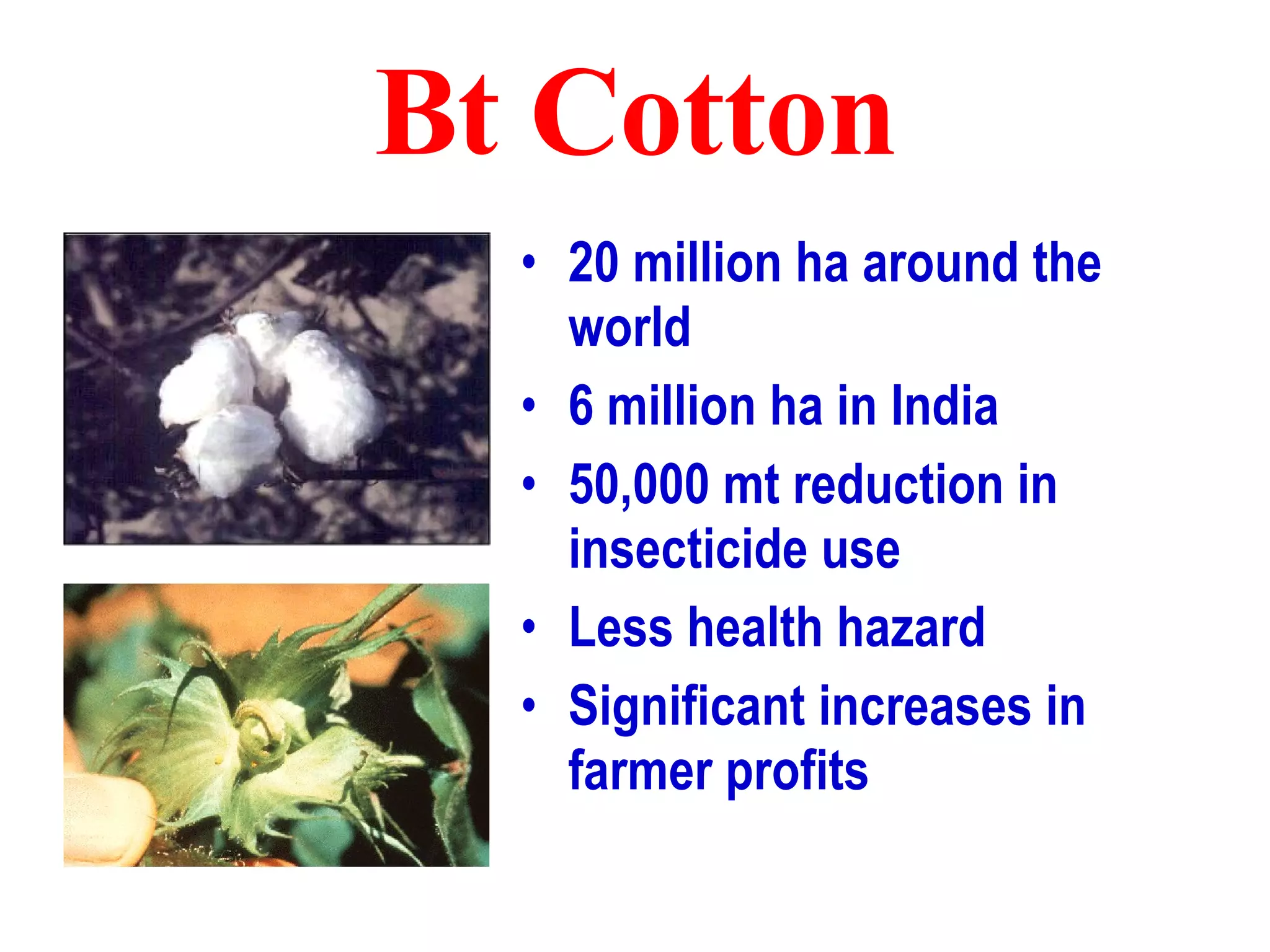 Bt Cotton 20 million ha around the world 6 million ha in India 50,000 mt reduction in insecticide use Less health hazard Significant increases in farmer profits 