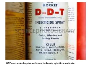 DDT can causes hepatocarcinoma, leukemia, aplastic anemia etc.
 