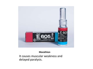 Marathion
It causes muscular weakness and
delayed paralysis.
 