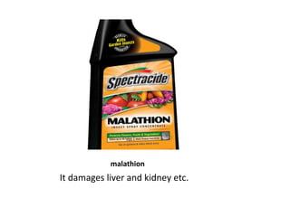 malathion
It damages liver and kidney etc.
 
