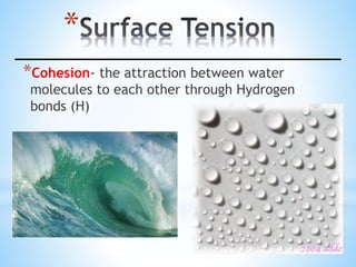 *
*Cohesion- the attraction between water
molecules to each other through Hydrogen
bonds (H)
 