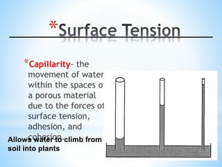 *
*Capillarity- the
movement of water
within the spaces of
a porous material
due to the forces of
surface tension,
adhesion, and
cohesion.Allows water to climb from
soil into plants
 