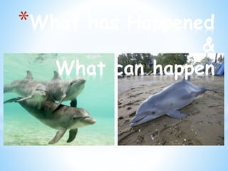 *What has Happened
&
What can happen
 